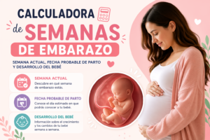 Calculadora de semanas de embarazo: semana actual, fecha probable de parto y desarrollo del bebé
